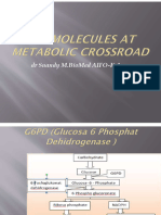 Biokimia Key Molecules at Metabolic Crossroad