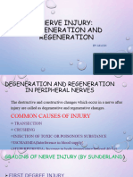 Nerve Injury