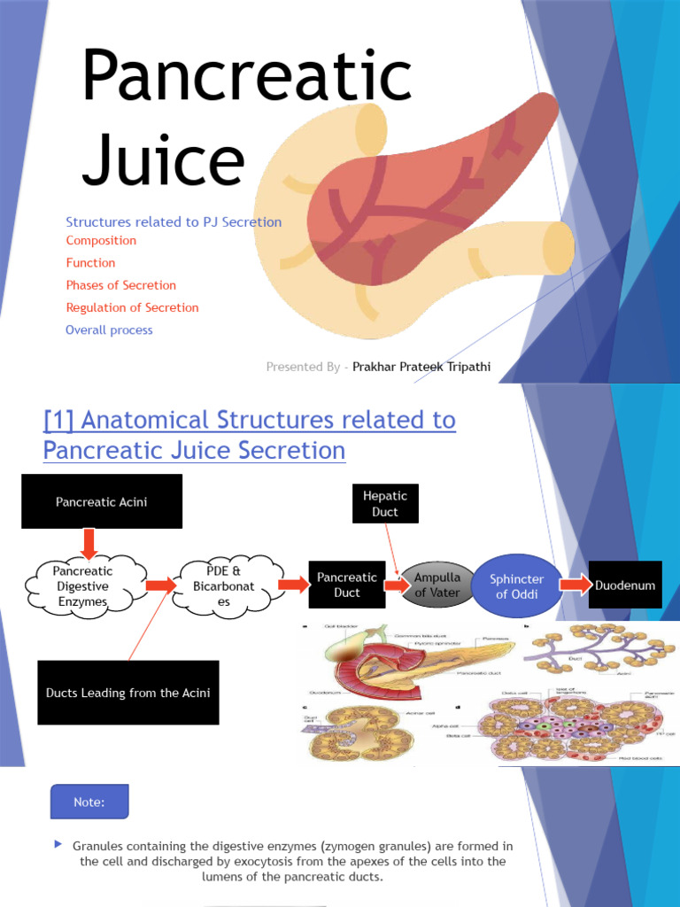 Pancreatic Juice PDF Pancreas Trypsin