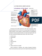 Pemeriksaan Fisik Sistem Kardiovaskuler
