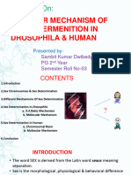 A Seminar On:: Molecular Mechanism of Sex Determenition in Drosophila & Human