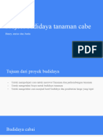 Project Budidaya Tanaman Cabe