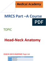Head - Neck Anatomy Lecture