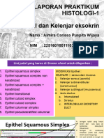 Laporan Praktikum Histologi 1 Muskuloskeletal - 225160100111030 - Almira Carissa Puspita Wijaya