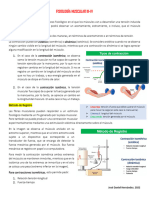 Fisiologia Muscular III-IV JD