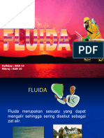 07 Fluida