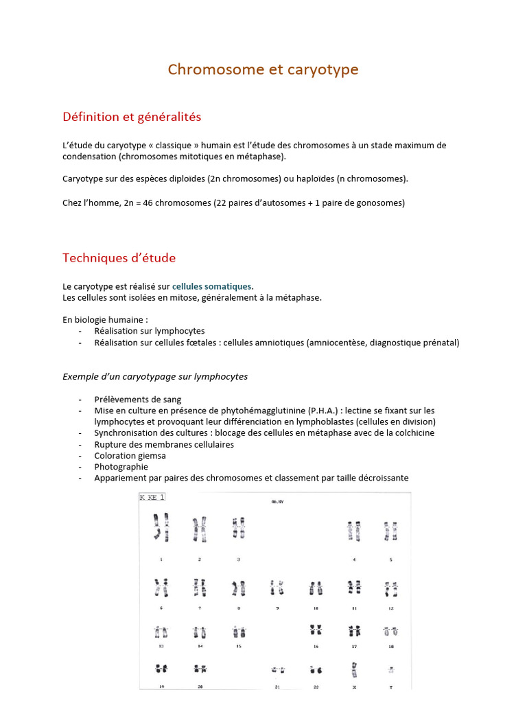 Étude du Caryotype et Anomalies Chromosomiques | PDF | Chromosome ...