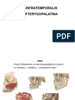 Fossa Infratemporalis Fossa Pterygopalatina