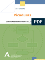 PICADURAS