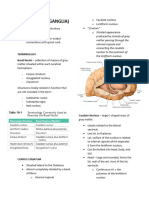 Basal Ganglia Notes