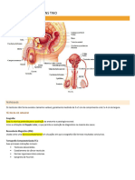 Unidad 20 Aparato Genital - Resumo