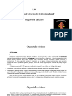 LP9 Organitele Citoplasmatice