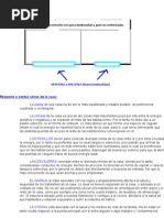 Download Curso de Feng Shui by api-3752185 SN6815084 doc pdf