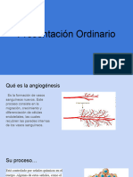 Presentacion Pato Ordinario