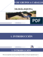 Psicología Del Caballo