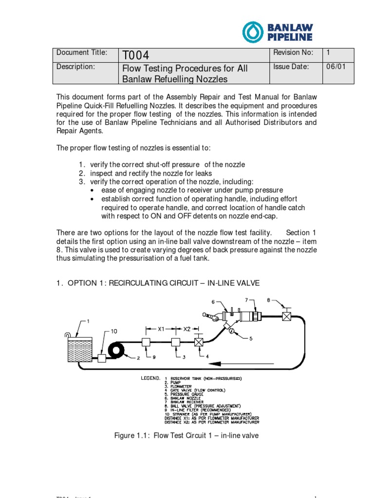 Bam 800 T004 - Nozzle Flow Testing Guidelines | PDF | Leak | Pump