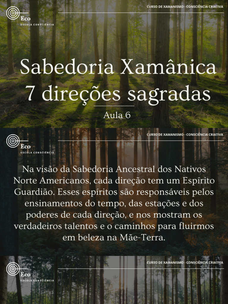 7 Direções Sagradas Pdf Xamanismo Sabedoria