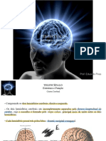 (M3) Aula 1 - TELENCEFALO E ÁREAS CORTICAIS - M2 2