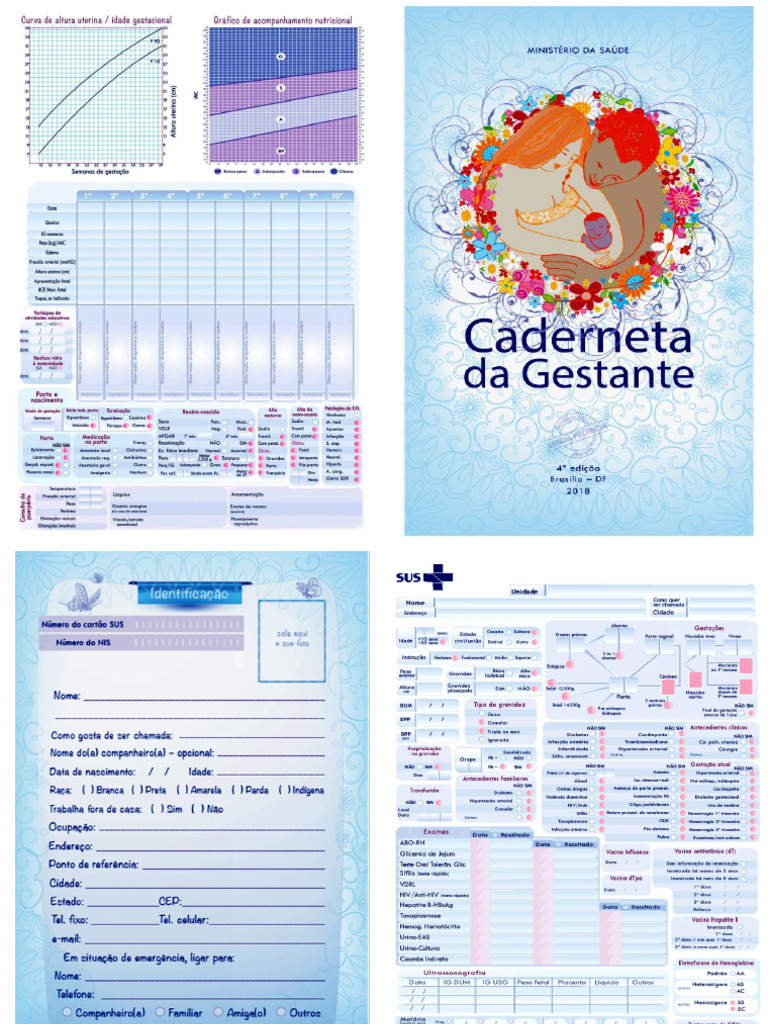 Carteira Da Gestante Improvisada 4 Partes PDF