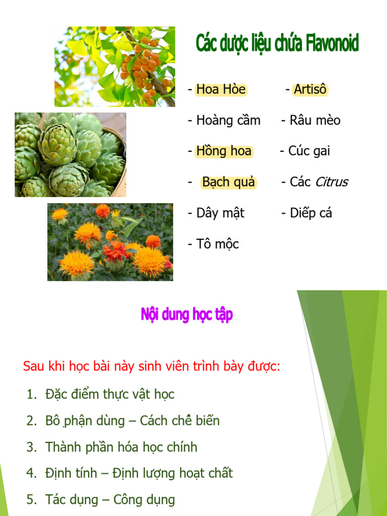 CHƯƠNG 8 FLAVONOID DƯỢC LIỆU CHỨA FLAVONOID da20abc PDF