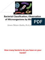 Bacterial Classification Observation of Microorganisms by Microscopy-1