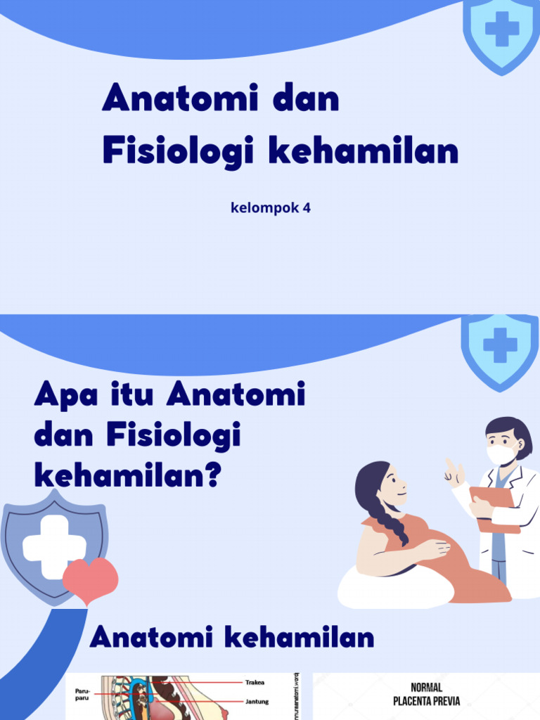 Anatomi Fisiologi Kehamilan | PDF