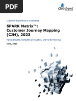 2023 - 08 - 01 - CJM SPARK-Matrix-Customer-Journey-Mapping-SuiteCX