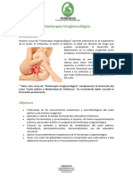 Fisioterapia Uroginecologica