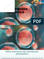 Membrana Plasmática 1