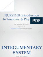 NURS1108 Lecture 4 - Integumentary