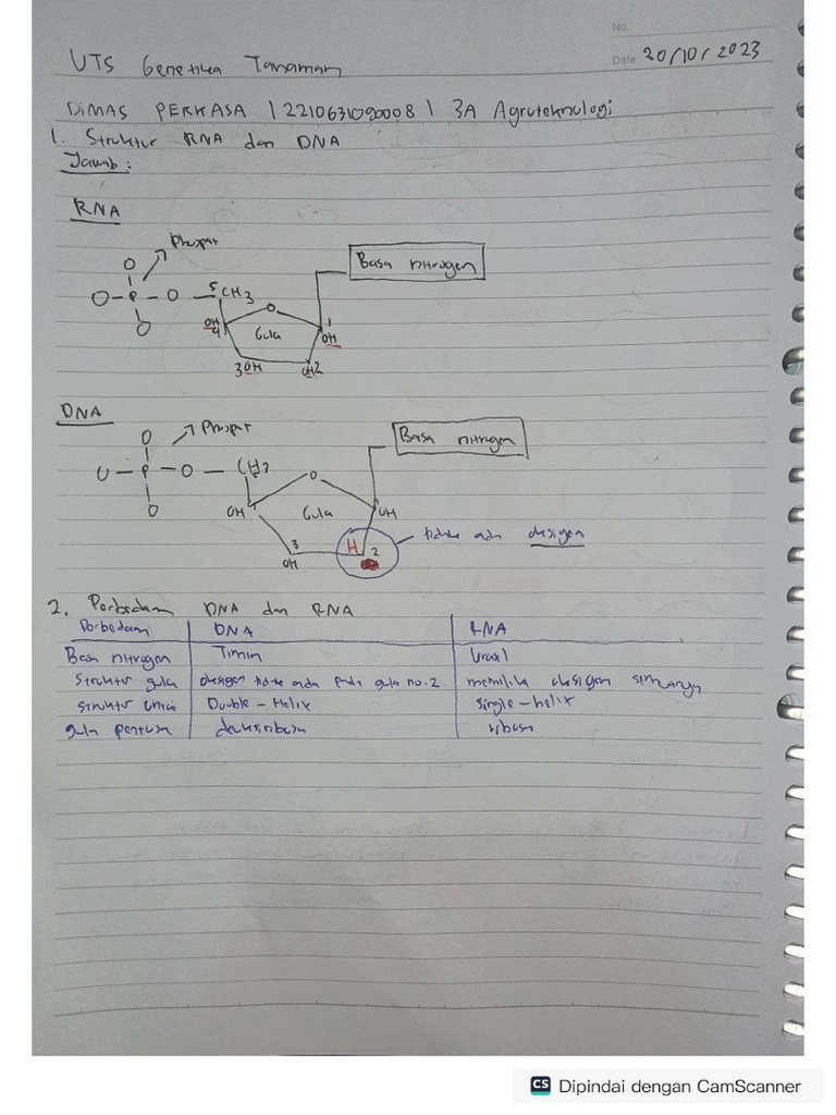 3a - Uts - Dimas Perkasa - 2210631090008 | PDF