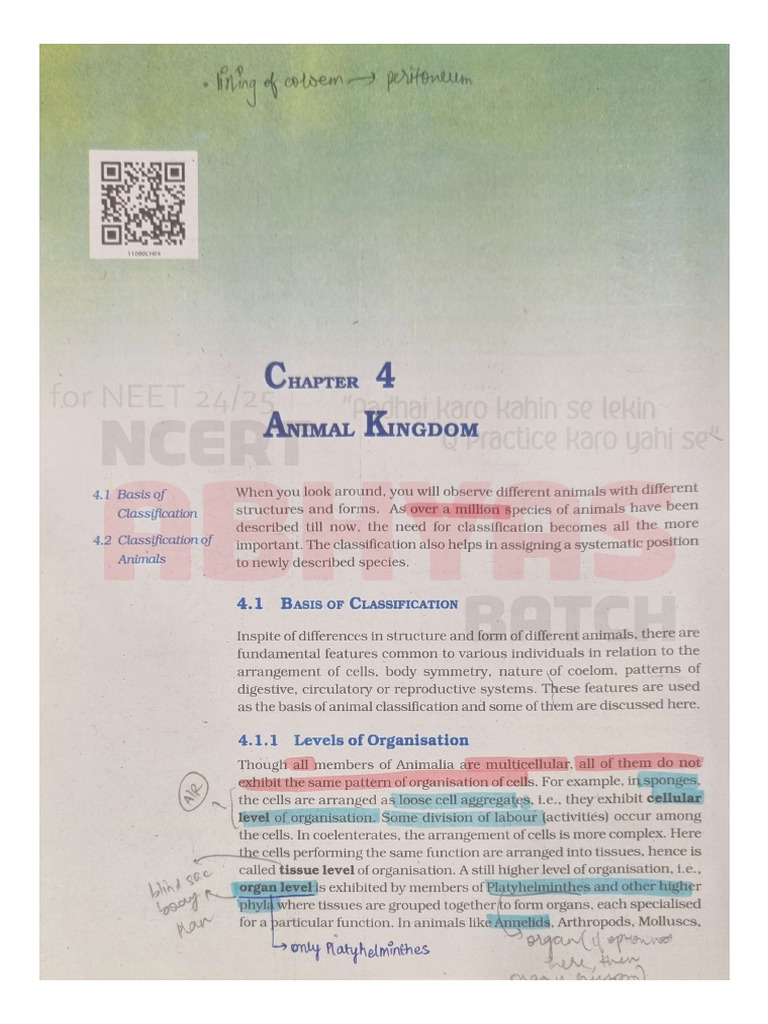 Classification Of Animal Kingdom Ncert