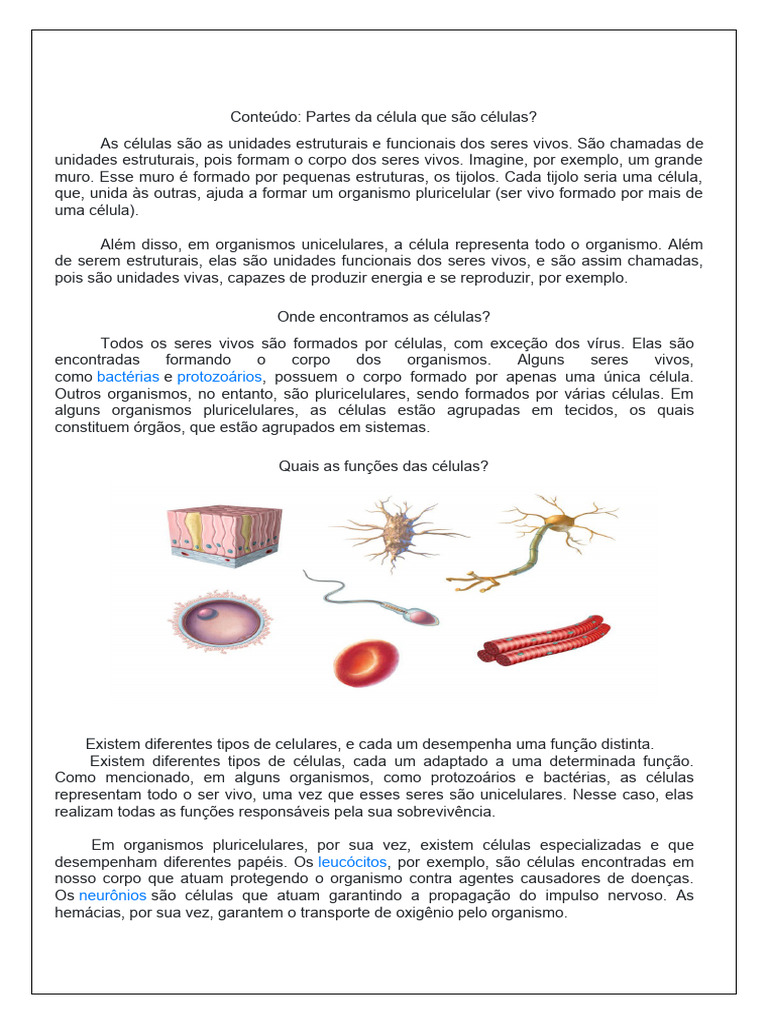 Texto Sobre Celulas | PDF | Célula (Biologia) | Organismos