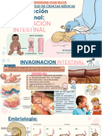 Obstruccion Intestinal