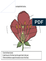 Support Sheet Draw and Label A Flower With The Name and Function of Each Part