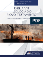 Apostila - Bíblia VIII - Teologia Do Novo Testamento