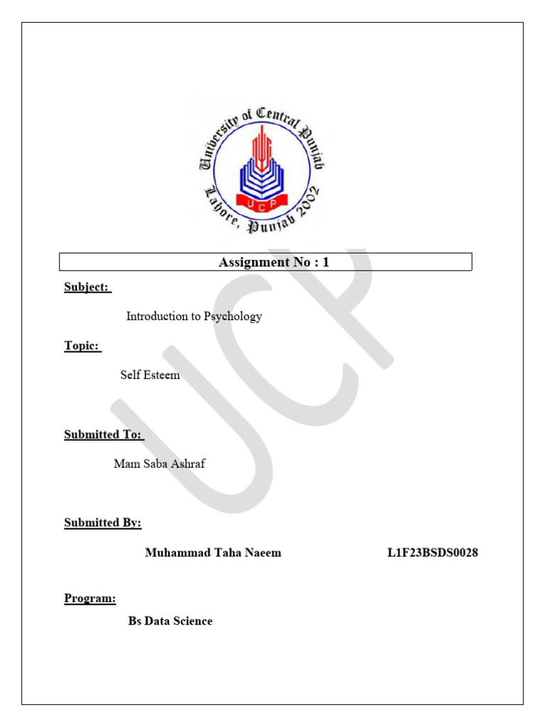 Assignment No.1 PDF Self Esteem Subjective Experience