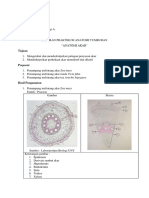 Elsa Fadila - 21304244020 - Laporan Praktikum Anatomi Akar