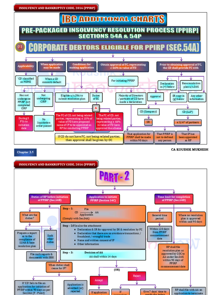PPIRP Process Under IBC 2016 Explained | PDF | Bankruptcy | Bankruptcy ...