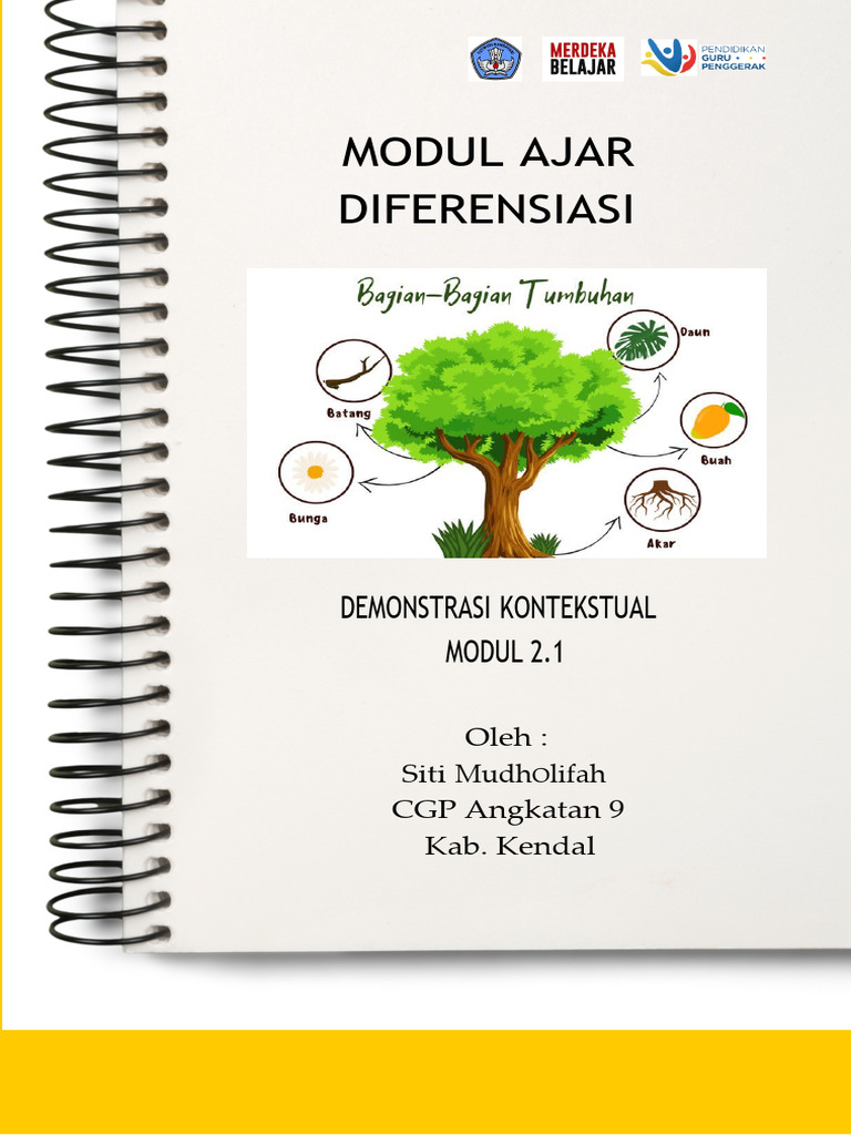 Modul ajar diferensiasi pdf
