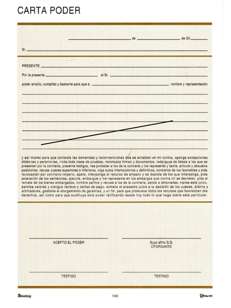Carta Poder Formato (Machote) | PDF