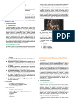 1° - Fichas de La Semana