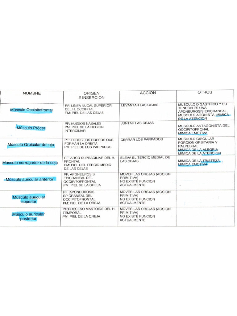 Tabla m sculos pdf