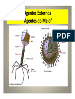 INFECCOES E DOENCAS AUTO IMUNES 2018