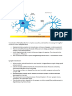 Biology 1.1