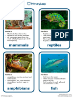 Vertebrates Flashcards