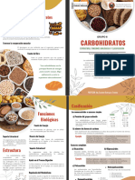 Bioquímica Grupo 6 Díptico - Carbohidrato