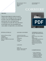 Resume 2