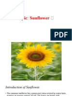 Topic Sunflower