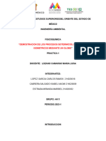 Practica 1 - Fisicoquimica Actualizada